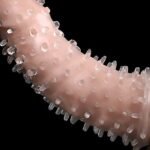 Wolf tooth set cat tongue set men's sm props special crystal thorn set adult couple sex toys - Image 2